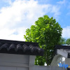 Отель Lanfan Tingshan B&B, фото 3