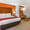 Отель Comfort Inn Greensboro - Kernersville, фото 7