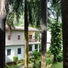 Отель Chitwan Paradise Hotel, фото 16