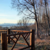 Отель Juneberry Lodge, фото 19