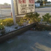 Отель Reno Motel, фото 1