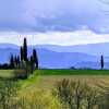 Отель Tuscan Hills Near Florence - Stone House, фото 24