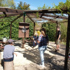 Отель Lovely Cottage in Peyzac-le-moustier With Terrace, фото 35
