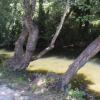 Отель Moinho da Ponte Velha, фото 7