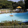 Отель ceongdo weonderaegyeonpension, фото 5