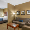 Отель Comfort Inn & Suites Lynchburg Airport - University Area, фото 33