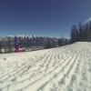 Отель Fernie Slopeside Lodge, фото 19