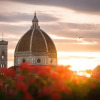 Отель Cardinal Of Florence, фото 24