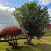 Отель Superior Rentals in Madeira - Lido, фото 27