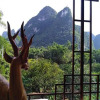 Отель Yangshuo Beautiful View Holiday Inn, фото 23