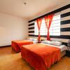 Отель Tequila Sunrise Hostel, фото 17