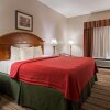 Отель Best Western Seminole Inn & Suites, фото 45