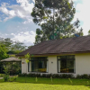 Отель Black Wattle House, фото 14