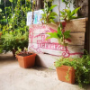 Отель La Terraza Hostel, фото 17