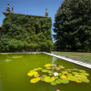 Отель Casa de Santo António de Britiande, фото 10