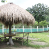 Отель Pumpkin StreamSide Guest House, фото 11