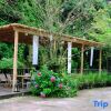 Отель Qingcheng Mountain Qizhiquexipan Hot Spring Homestay, фото 17