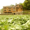 Отель Shinshu Kakeyu Onsen Katsura Ryokan, фото 6