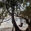 Отель Gecko Nature Lodge & Swahili Divers, фото 14