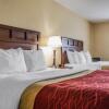 Отель Comfort Inn & Suites Farmington - Victor, фото 30