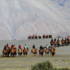 Отель The Grand Ghazi Clover Camp, фото 16