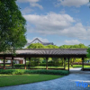 Отель Xinzhi Hotel, фото 19