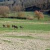 Отель Le Crete Azienda Agraria Agriturismo, фото 4