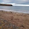 Отель Charming Eyemouth Apartment Close the Beach, фото 11