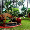 Отель Fernandez Beach and Garden Resort, фото 7