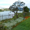 Отель Tea Plant Nuwara Eliya, фото 13