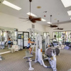 Отель The Villas at Emerald Desert RV Resort, фото 16
