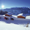 Отель Apartment in Aschau im Zillertal, фото 12