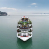 Отель Margaret Cruises, фото 25
