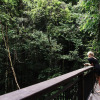 Отель Daintree Ecolodge, фото 18