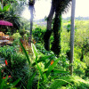 Отель Prashanti Ubud, фото 18