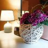 Отель Dandy Villas Vintage Cottage House - Pelion, фото 26