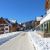 Отель Pohorje Village Wellbeing Resort – Forest Apartments Videc, фото 30