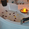 Отель Bazil Hotel Suites, фото 10