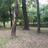 Отель Studio Park, фото 7