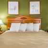 Отель Quality Inn Hanceville US Hwy 31, фото 21