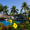 Отель Qualton Club Ixtapa - All Inclusive, фото 23