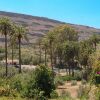 Отель Casa Rural EL Olivar - La Molienda, фото 17