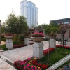 Отель Jasmine International Hotel, фото 21