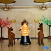 Отель Xinxiang Jinghua Tropical Mineral Spring Health Garden, фото 2