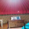 Отель Charming Yurt in Kelburn Estate Near Largs, фото 8
