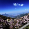 Отель Jiaozi Mountain Resort, фото 9