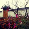 Отель Scenery Retreats Taibai Mountain Hot Spring Villa Resort, фото 20