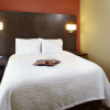 Отель Hampton Inn Phoenix-Biltmore, фото 3