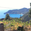 Отель Villa Cinque Terre, фото 23