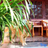 Отель Courtyard & Sunlight Inn, фото 16